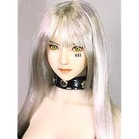 Amazon | FunPlus 1/6 フィギュア ドール 用 ヘッド 植毛タイプ